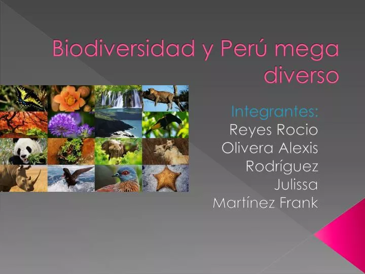 biodiversidad y per mega diverso