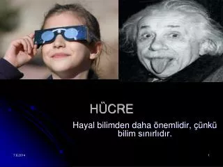 hayal bilimden daha nemlidir nk bilim s n rl d r