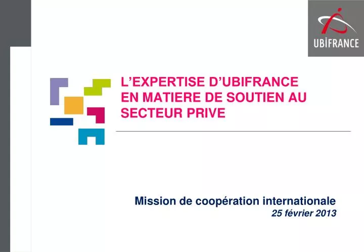 l expertise d ubifrance en matiere de soutien au secteur prive