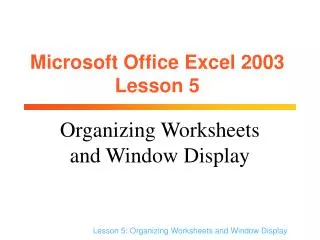 Microsoft Office Excel 2003 Lesson 5