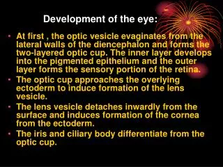 Development of the eye: