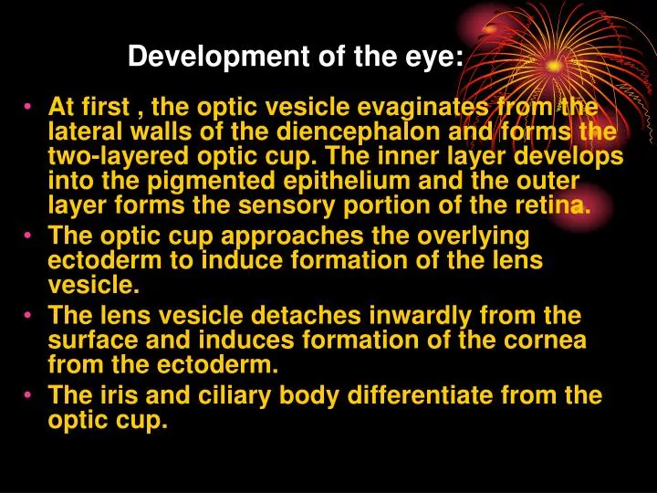 development of the eye