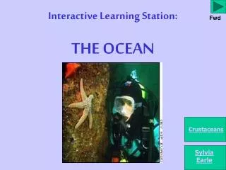 Interactive Learning Station: THE OCEAN