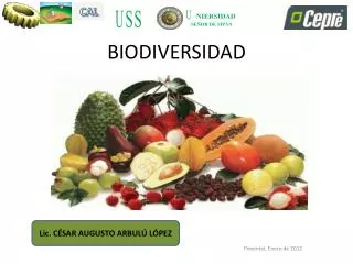 PPT - BIODIVERSIDAD PowerPoint Presentation, Free Download - ID:3102428