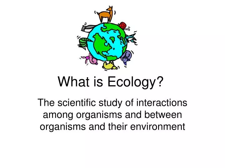 what is ecology