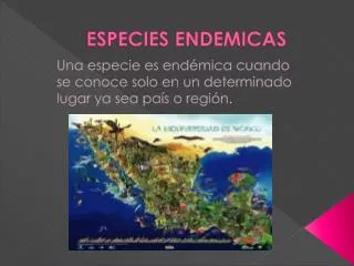especies endemicas