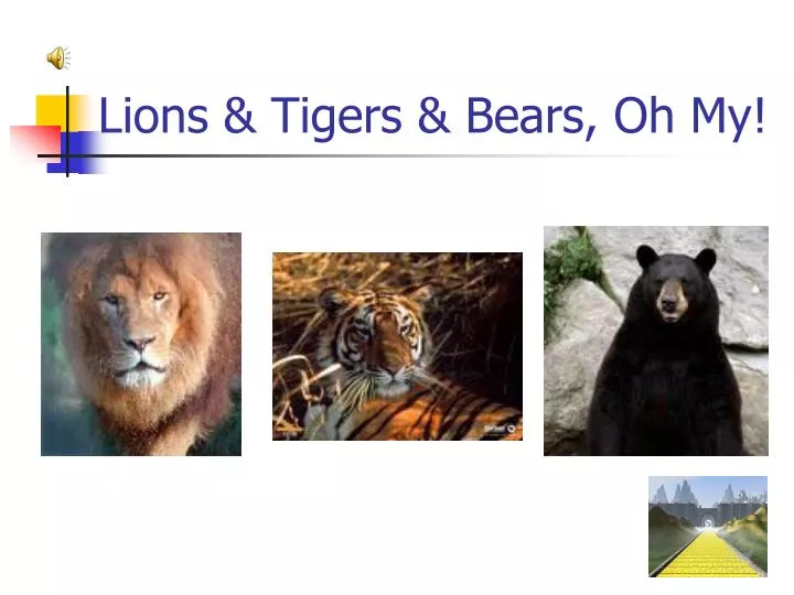 lions tigers bears oh my
