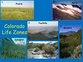 Colorado Life Zones