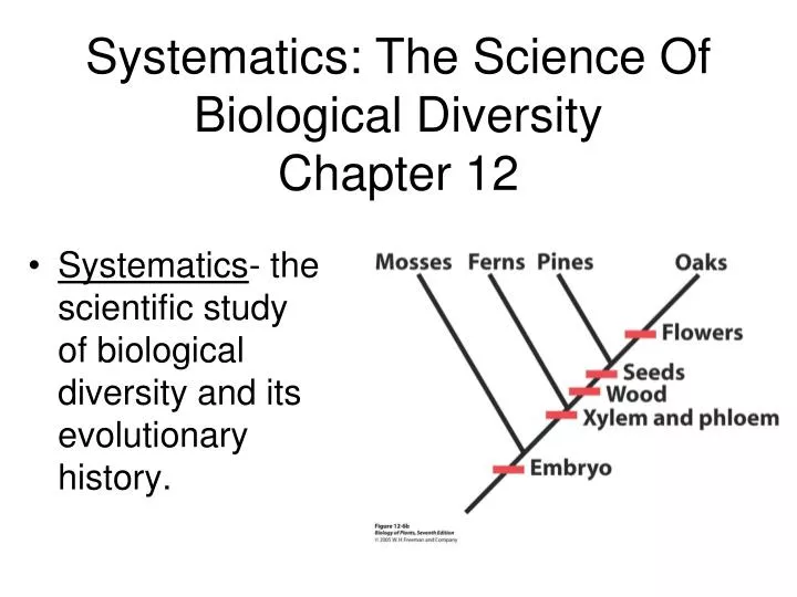 systematics the science of biological diversity chapter 12