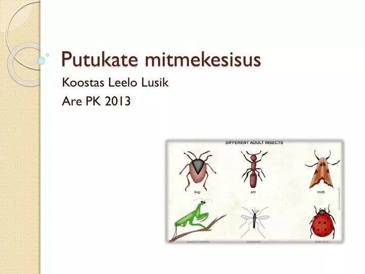 putukate mitmekesisus