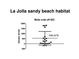 La Jolla sandy beach habitat