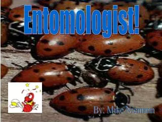 Entomologist!