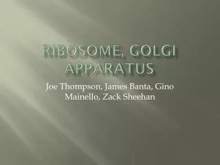 Ribosome, Golgi apparatus