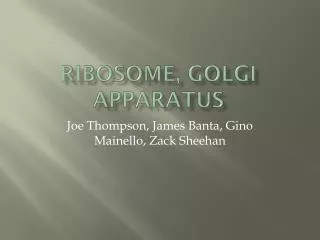 ribosome golgi apparatus