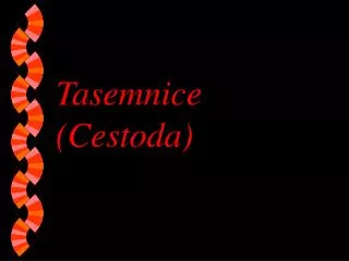 Tasemnice (Cestoda)