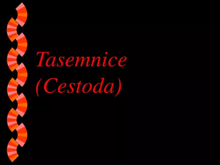 tasemnice cestoda