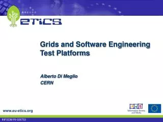 Grids and Software Engineering Test Platforms