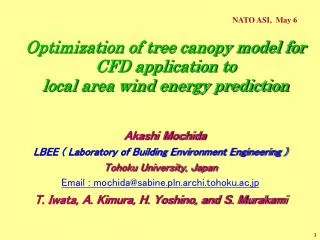 Optimization of tree canopy model for CFD application to local area wind energy prediction