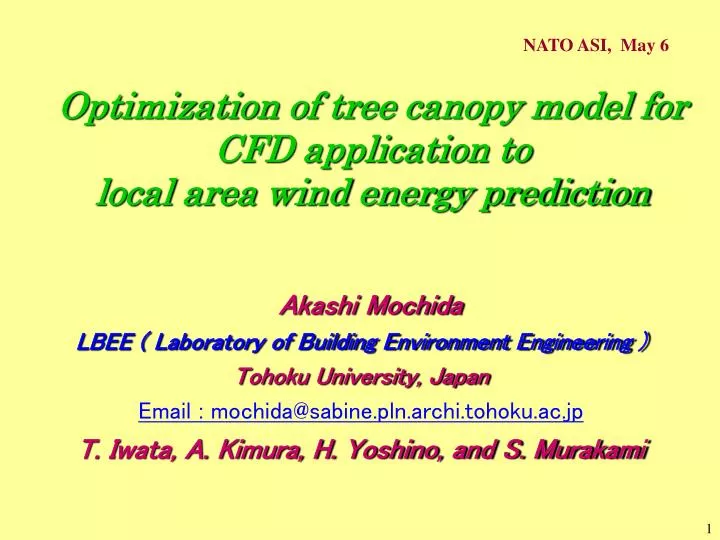 optimization of tree canopy model for cfd application to local area wind energy prediction