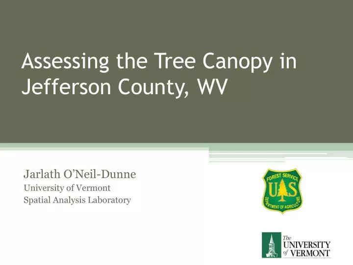 assessing the tree canopy in jefferson county wv
