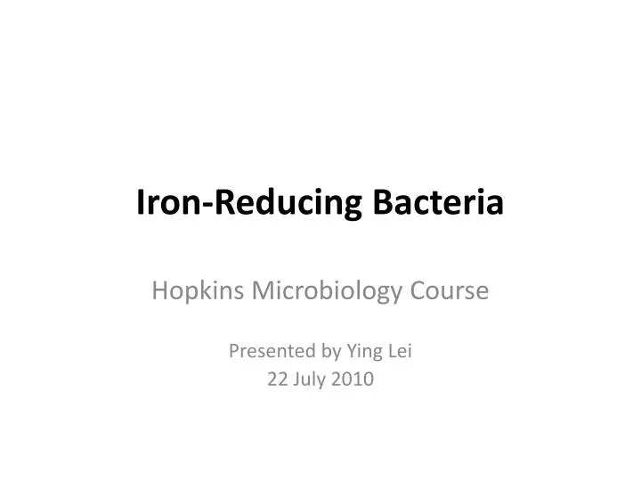 iron reducing bacteria