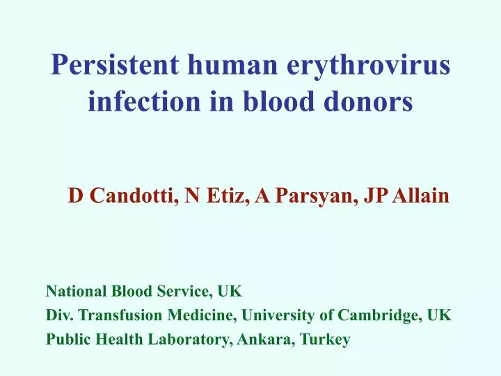 persistent human erythrovirus infection in blood donors
