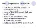 Data Compression Techniques - slide 1