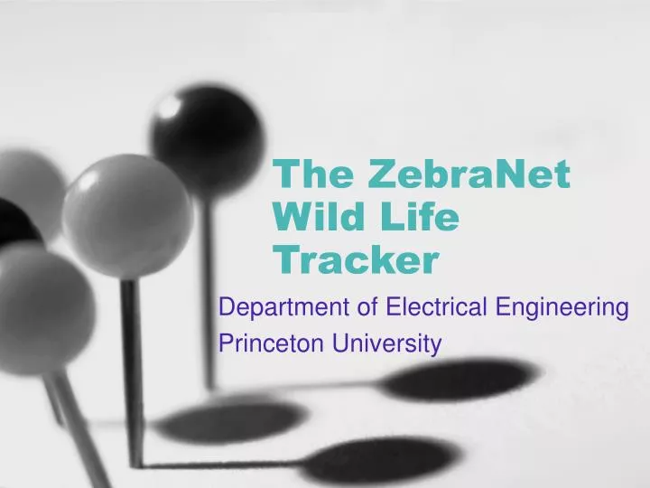 the zebranet wild life tracker