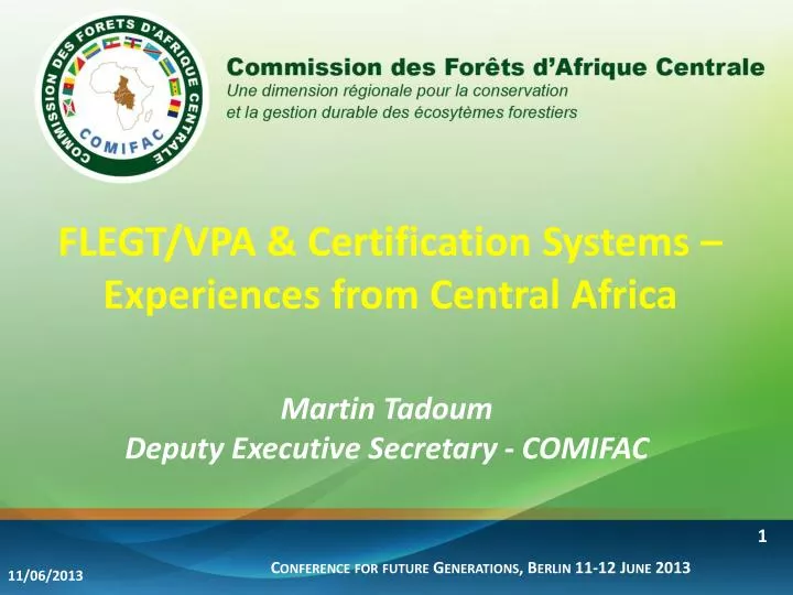 flegt vpa certification systems experiences from central africa