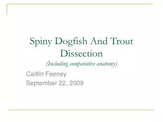 Spiny Dogfish And Trout Dissection (Including comparative anatomy)