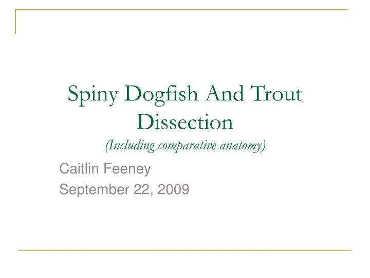 spiny dogfish and trout dissection including comparative anatomy