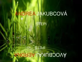 andrea jakubcov