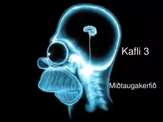 kafli 3