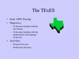 The TExES