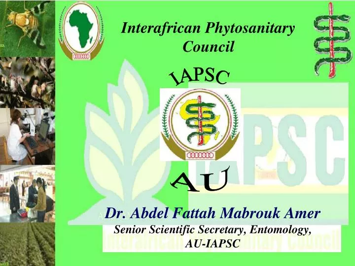 interafrican phytosanitary council