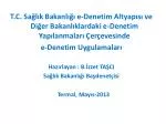I. e-Denetim Nedir? - slide 1