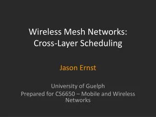 Wireless Mesh Networks: Cross-Layer Scheduling