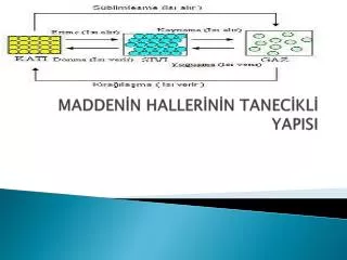 madden n haller n n tanec kl yapisi