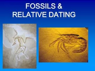 FOSSILS &amp; RELATIVE DATING