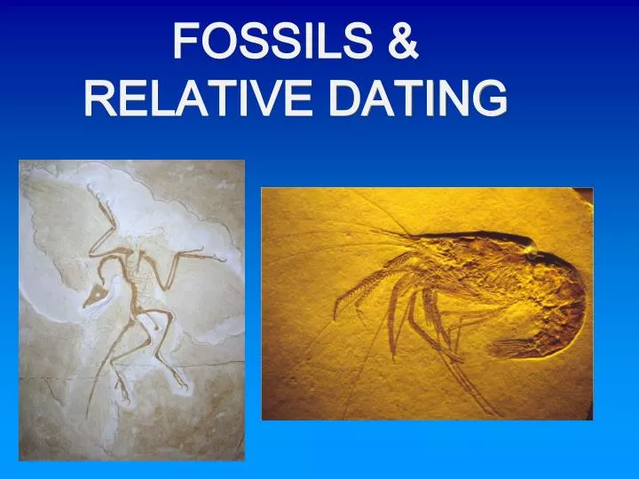 fossils relative dating
