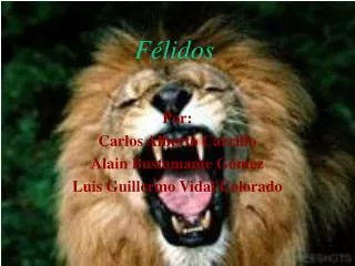 f lidos