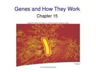 Genes and How They Work