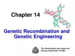 Chapter 14 Genetic Recombination and Genetic Engineering - slide 1