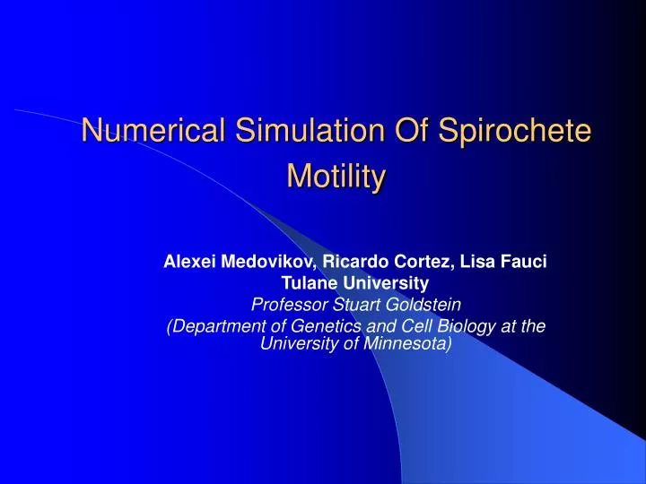 numerical simulation of spirochete motility