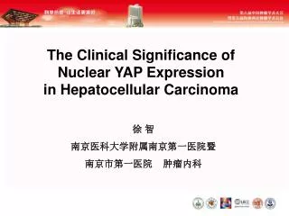 The Clinical Significance of Nuclear YAP Expression in Hepatocellular Carcinoma