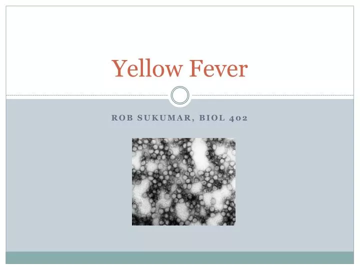 yellow fever