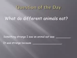 Question of the Day