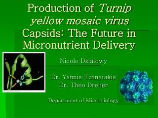 Production of Turnip yellow mosaic virus Capsids: The Future in Micronutrient Delivery