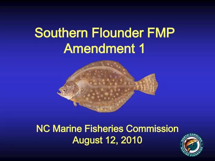 southern flounder fmp amendment 1