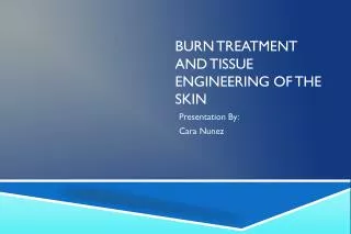 BURN TREATMENT AND TISSUE ENGINEERING OF THE SKIN